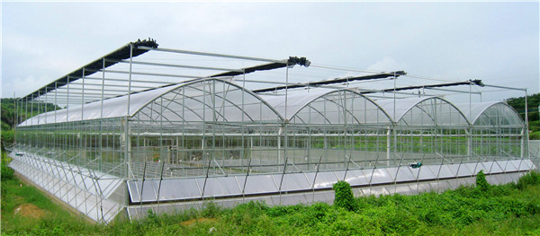 連棟雙拱雙膜溫室