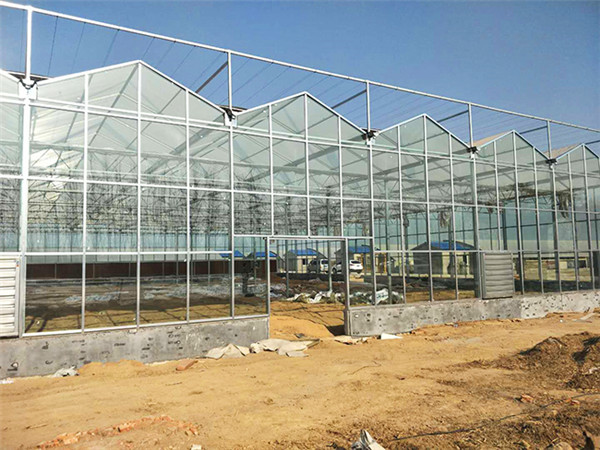 溫室大棚建設(shè)選場地的條件有哪些？