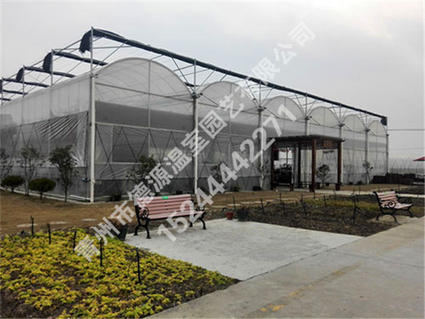 吉林省白城洮南富順鄉(xiāng)15000平米連棟薄膜溫室
