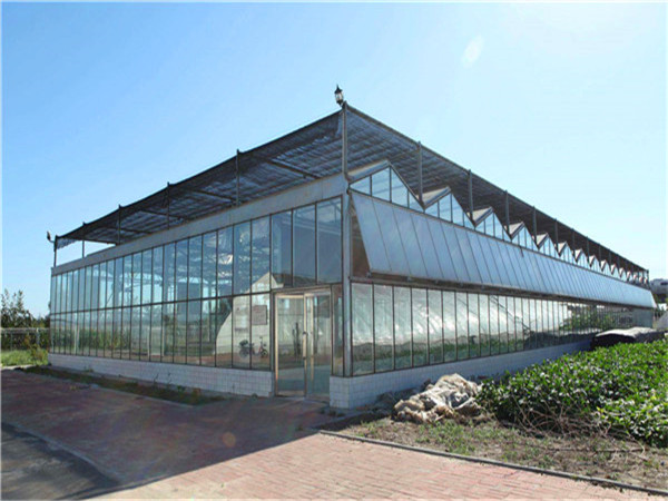 內(nèi)蒙古包頭富立恒天農(nóng)業(yè)合作社